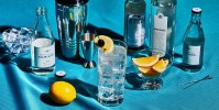 best-tom-collins-recipe-how-to-make-a-tom-collins image