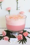 easy-dreamy-frothy-pink-punch-best-friends-for image