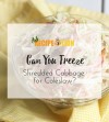 solved-can-you-freeze-shredded-cabbage-for-coleslaw image