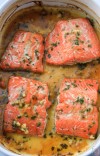 honey-dijon-salmon-recipe-baked-in-20-minutes image