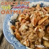 crock-pot-steel-cut-oatmeal-apple-cinnamon image