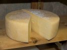asiago-cheese-recipe-cheese-maker-recipes-cheese image