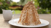 baked-alaska-with-creamy-chocolate-sauce-recipe-bbc image