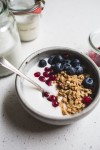 how-to-make-dairy-free-coconut-yogurt-kitchn image