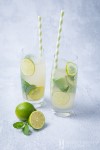 gin-and-ginger-beer-cocktail-greedy-gourmet-food image