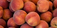 how-to-ripen-peaches-perfectly-every-time-good image