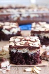 almond-joy-poke-cake-the-recipe-critic image