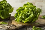 what-is-butter-lettuce-plus-a-simple-butter-lettuce image