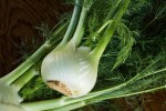 what-is-fennel-benefits-of-fennel-plus-easy image