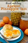 recipe-apricot-pineapple-jam-apricotjam-a-thrifty image