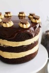 chocolate-peanut-butter-cake-the-best-cake image
