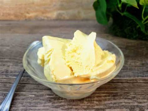 low-carb-vanilla-ice-cream-recipe-advantage-meals image