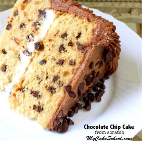 chocolate-chip-cake-recipe-my-cake-school image