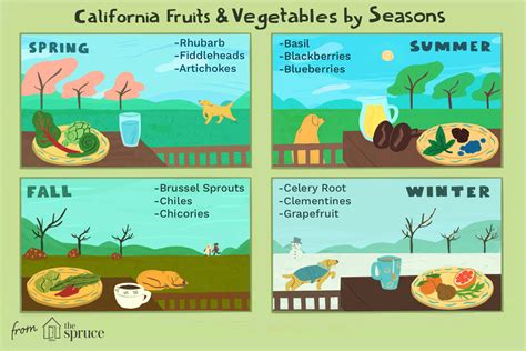 an-a-z-guide-to-california-fruits-and-vegetables image