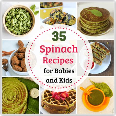 35-healthy-spinach-recipes-for-babies-and-kids-my-little-moppet image