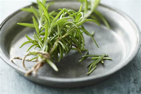 rosemary-recipes-5-easy-dishes-to-cook-with-rosemary image