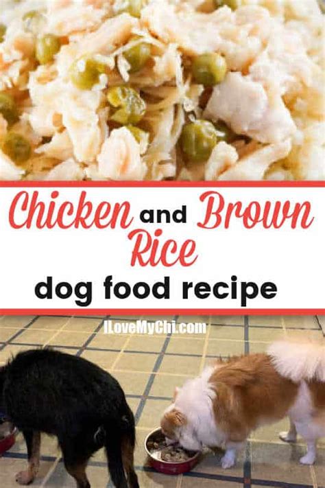 chicken-and-brown-rice-dog-food-recipe-i-love-my-chi image