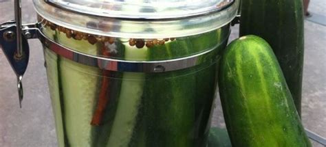 no-salt-dill-refrigerator-pickles-recipe-sparkrecipes image