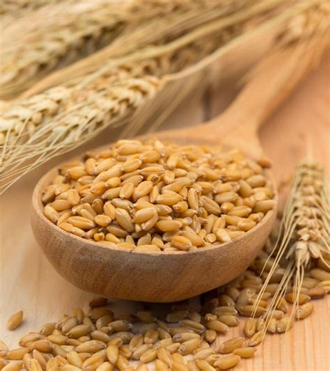 25-best-benefits-of-barley-jau-for-health-skin-and-hair image