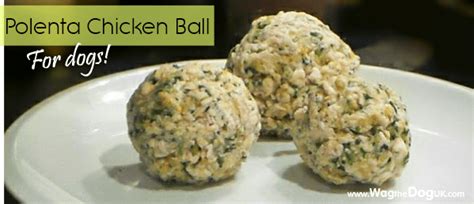 polenta-chicken-ball-for-dogs-homemade-dog-food image