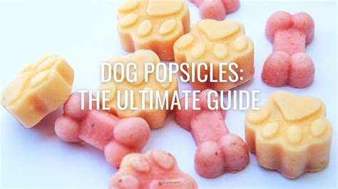 21-recipes-for-pupsicles-yep-popsicles-for-dogs image