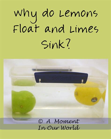 floating-lemons-and-sinking-limes-simple-living image