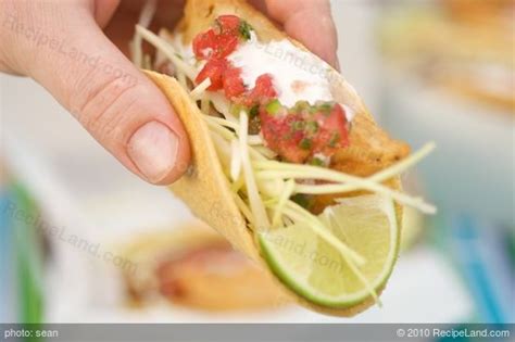 rubios-fish-tacos-recipe-recipeland image