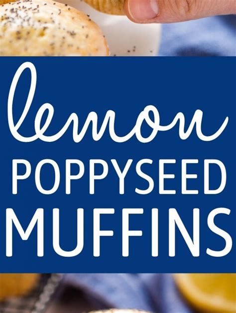 lemon-poppy-seed-muffins-easy-recipe-the-busy image
