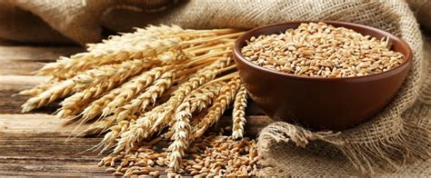 cooking-wheat-berries-bobs-red-mill-natural-foods image