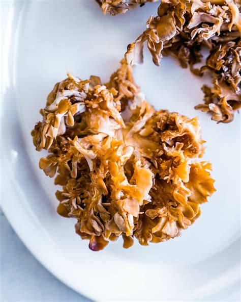 hen-of-the-woods-mushrooms-info-recipe-a image