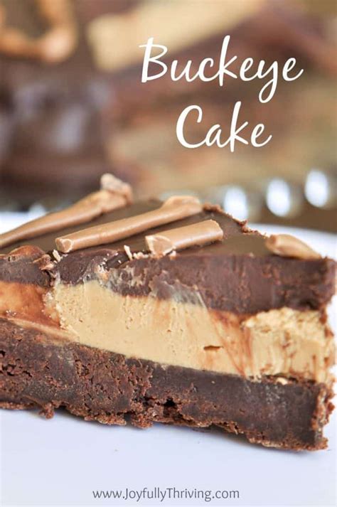 the-most-delicious-buckeye-cake-recipe-joyfully-thriving image