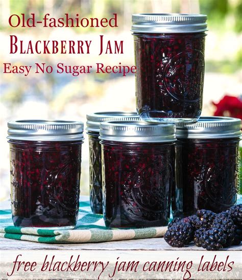 easy-blackberry-jam-recipe-low-sugar-with-canning image