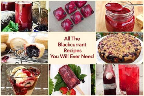 all-the-blackcurrant-recipes-you-will-ever-need-tin image