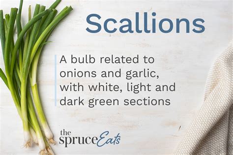 what-are-scallions-and-how-are-they-used-the-spruce image