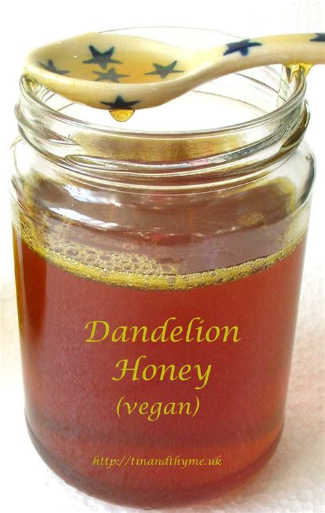 dandelion-honey-a-fabulous-vegan-alternative-to image