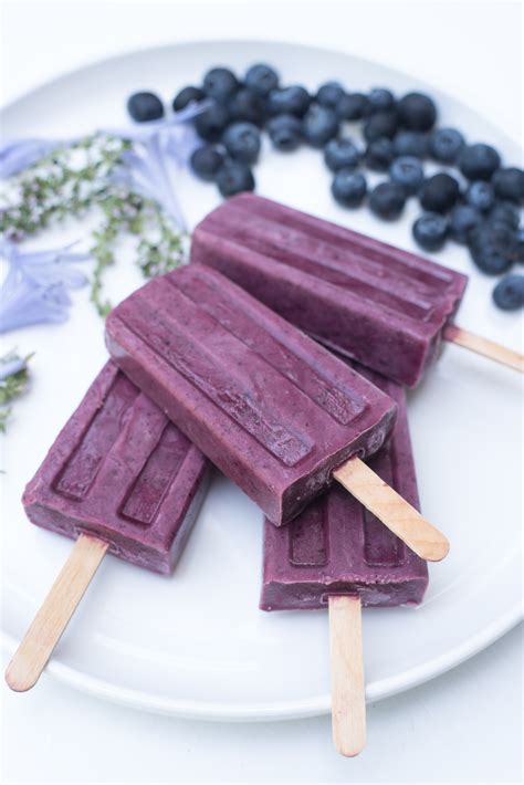 coconut-blueberry-ice-cream-pops-goofy-foot-foods image