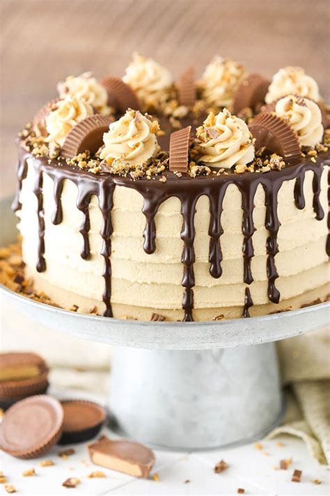 peanut-butter-chocolate-layer-cake-life image