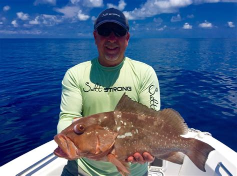 the-best-way-to-cook-grouper-10-amazing-grouper image