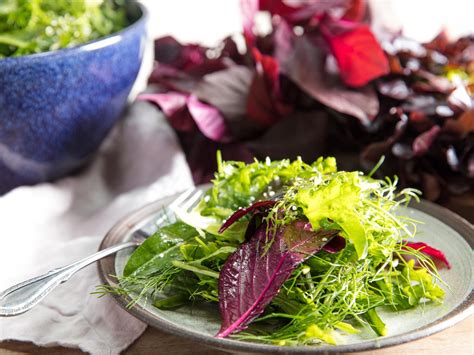 roman-inspired-mixed-green-salad-misticanza-alla image
