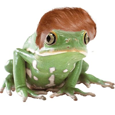 do-frogs-have-hair-here-are-the-facts-super-crazy image