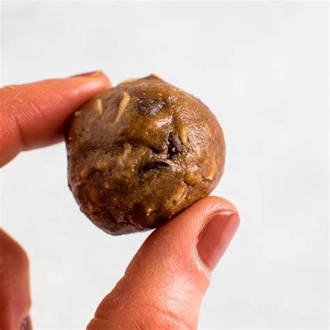 chocolate-peanut-butter-protein-balls-eating-bird-food image