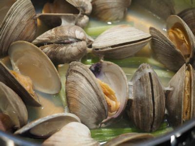 9-things-you-need-to-know-before-steaming-hard-shell-clams image