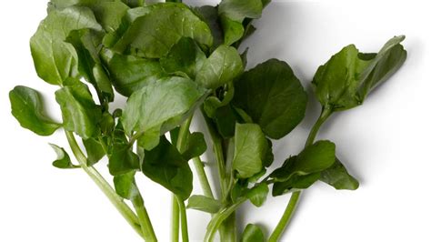 how-to-eat-watercress-epicurious image