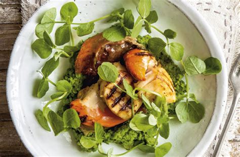 seared-scallops-with-pea-puree-starter-recipes-goodto image