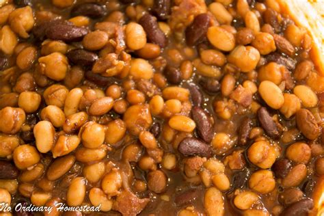5-bean-baked-beans-the-perfect-side-dish-no image