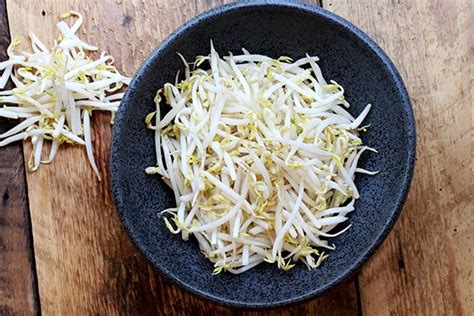 easy-japanese-bean-sprouts-salad-asian-caucasian image