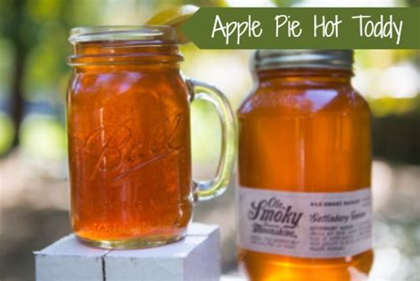 apple-pie-hot-toddy-a-great-warm-cocktail-for-cold image