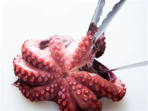 perfectly-cooked-boiled-octopus-recipe-serious-eats image