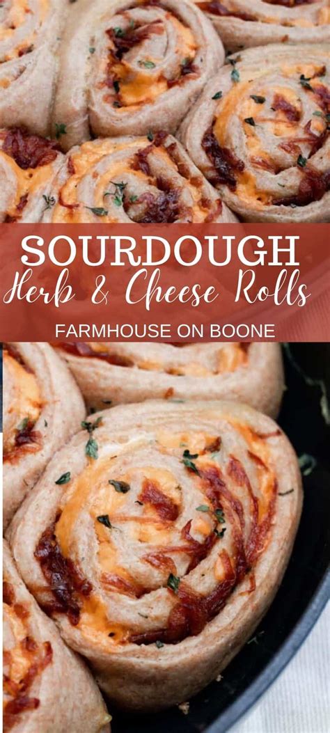 sourdough-herb-and-cheese-rolls-farmhouse-on-boone image