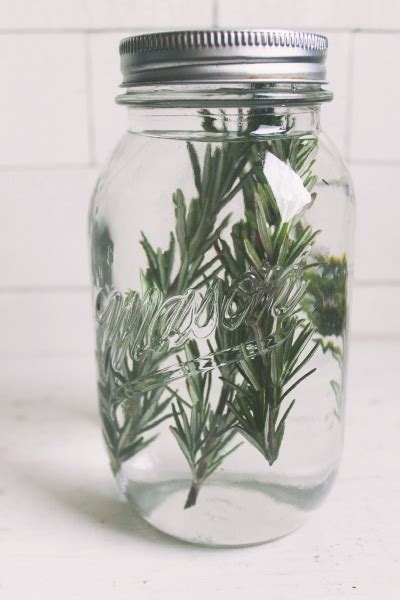 how-to-make-rosemary-infused-vodka-potluck-at-oh image
